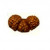 Trijuti Rudraksha Bead