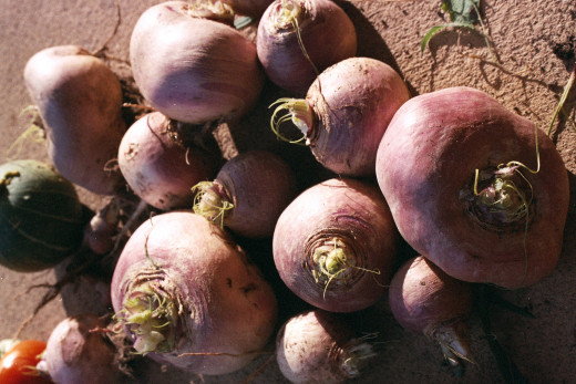Organic vegetables. 