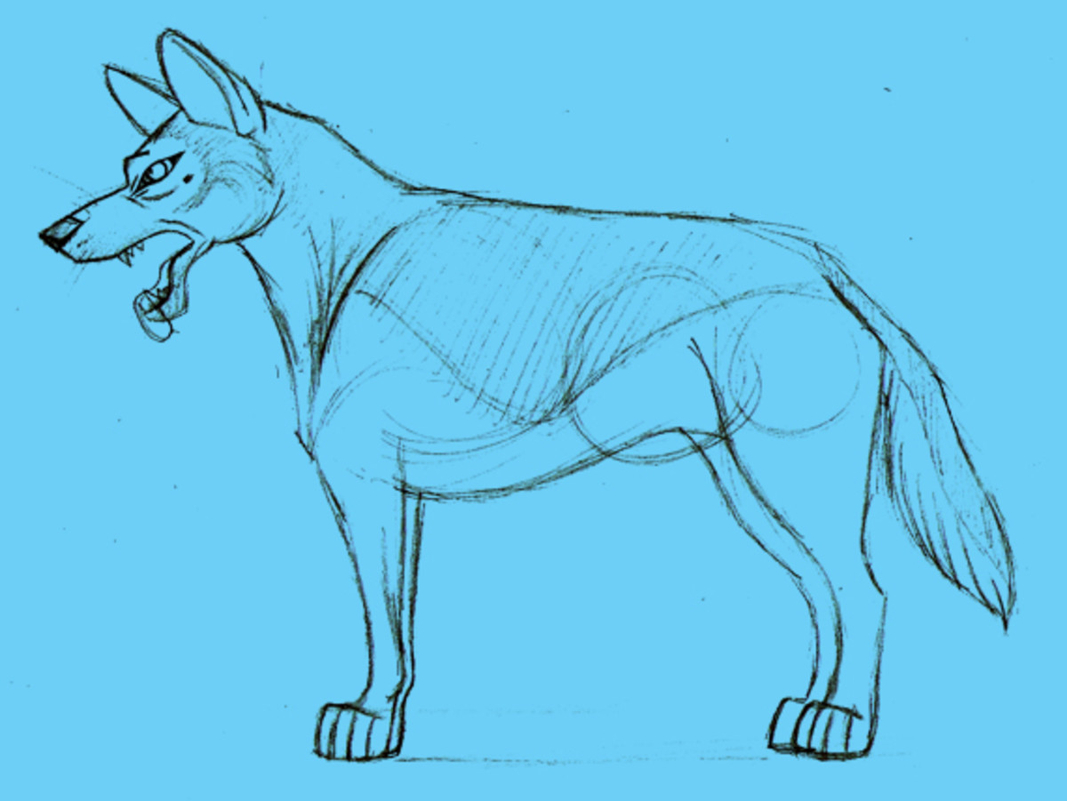 How To Draw A Semi Realistic Dog Feltmagnet