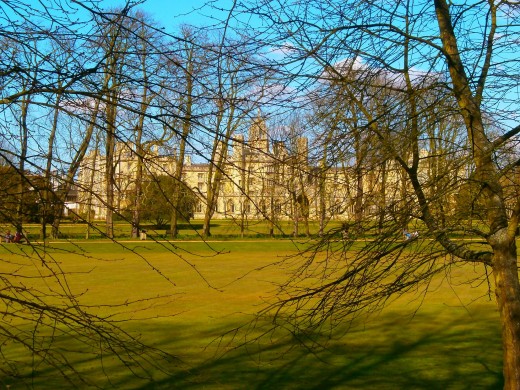 Kings College. Photo by Flysky