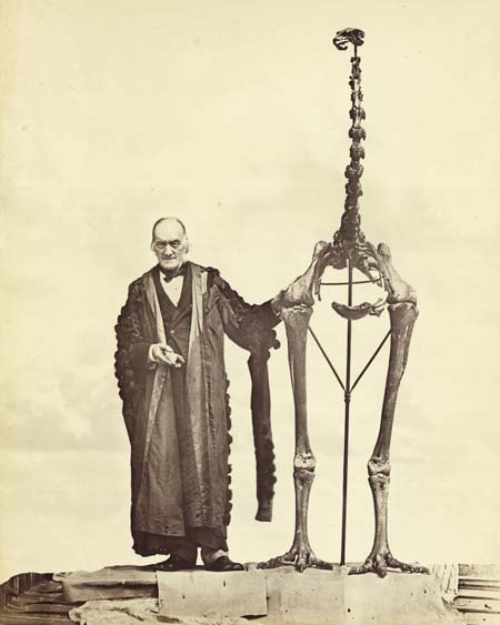 Owen with moa skeleton.