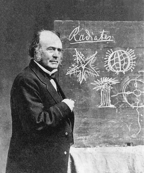 Agassiz at Harvard, 1870.
