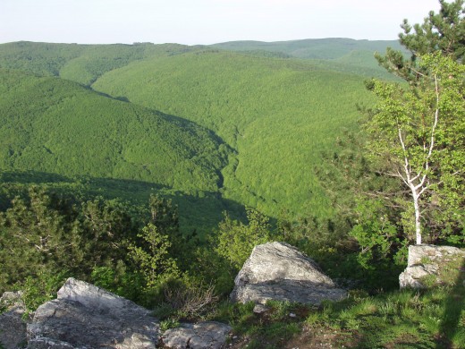 Papuk mountain offers breathtaking natural beauty.... it still exists!