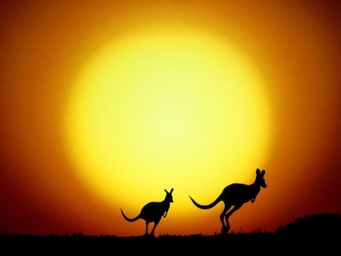 There's nothing like an Outback sunset.