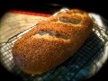 Making a Sourdough Starter from Scratch: Part I