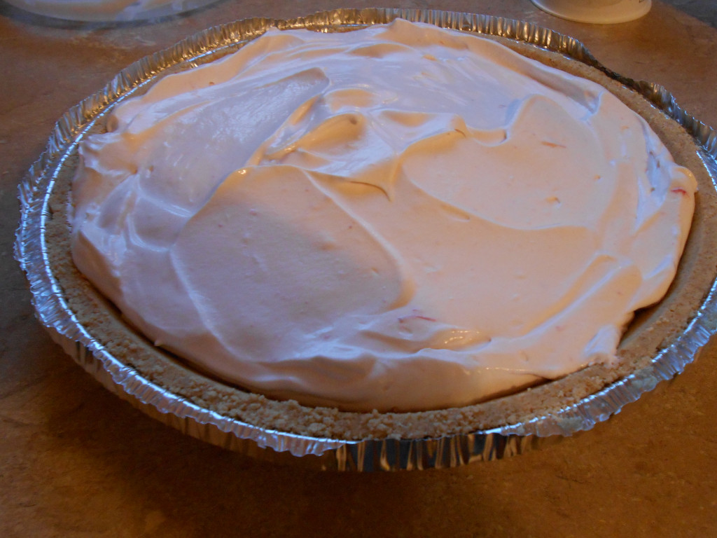 Fast and Easy Yogurt Pie