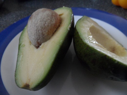 Avocado