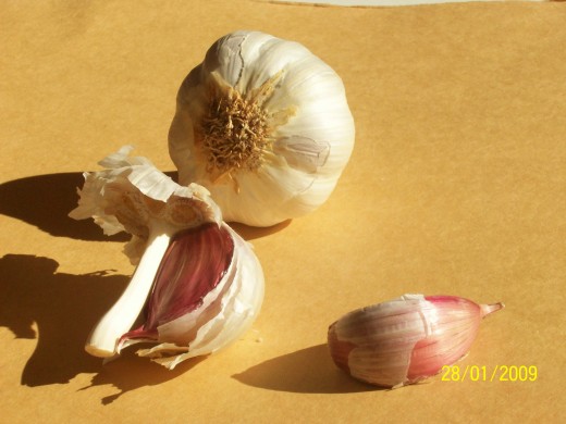 Garlic, garlic, everywhere.