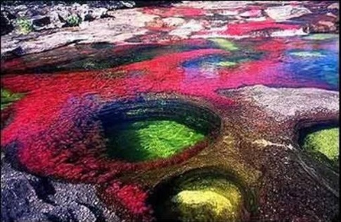 Caño Cristales or The 7 Color River is one of the natural attractions located in the middle of the guerrilla territory. Travelers might get there by military helicopter guarded with soldiers. No guerrilla in this area but unsafe on the surroundings.
