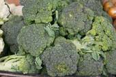 broccoli ready to harvest
