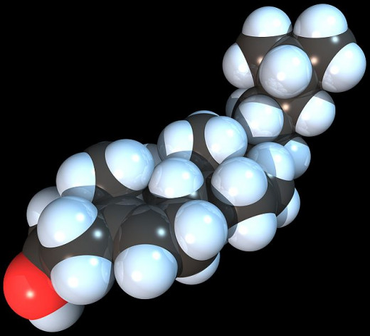 A cholesterol molecule 3D model. 