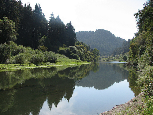 Morning on the Russian River near Sonoma County and Fort Ross.