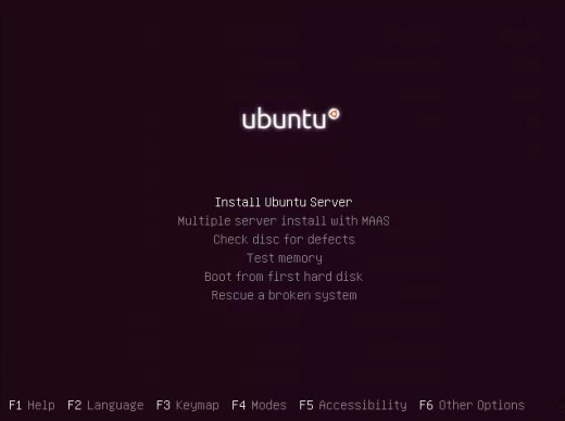 Select "Install Ubuntu Server" then hit "Enter"