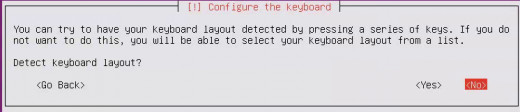 Select "No", then, hit "Enter"