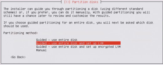 Select "Guided - use entire disk and set up LVM" and hit "Enter"