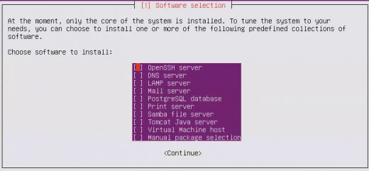 Select the desired server package to be installed. To install all software yourself, select "Manual package selection", hit "Enter"