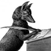 Writer Fox profile image