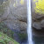 The steep drop of Latourell Falls. The steep drop of Latourell Falls.
