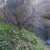 A panoramic view of Latourell Falls. A panoramic view of Latourell Falls.