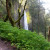 Another view of Latourell Falls from the trail. Another view of Latourell Falls from the trail.