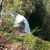 Latourell Falls from the top looking down the cliff. Latourell Falls from the top looking down the cliff.
