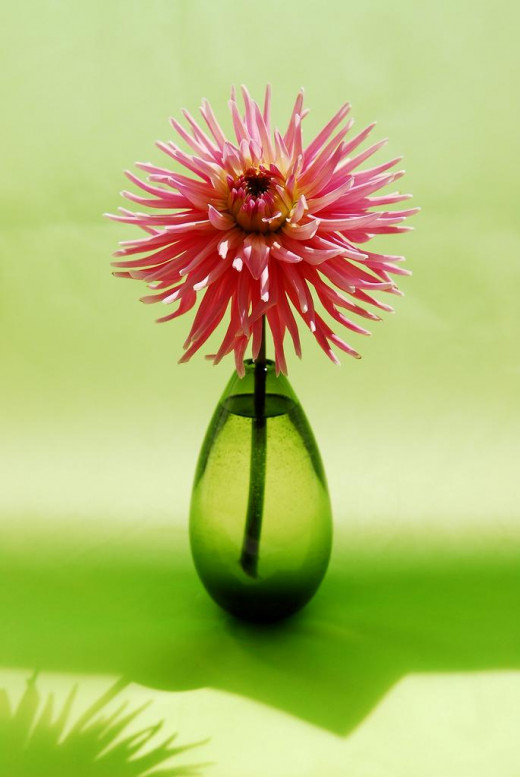 If you spend most of your time cutting fresh flowers, a bypass pruner is your tool.