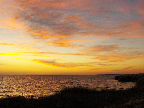 Lake Okeechobee Is A Bass Fisherman's Paradise. So if you want to plan a special fishing trip that you will remember a life time this is the place for you to go. 