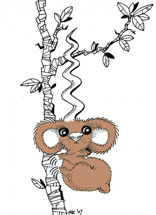 Korkskrew Koala