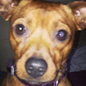 SavannahW profile image