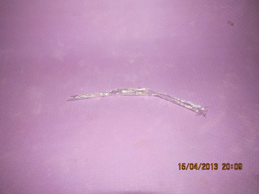 Fig 7 : The cat's tail.