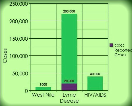 Lyme Disease is grossly underreported by the CDC, they even admit by much as 20 times but some doctors fear, the number is closer to 40 times the reported amount. 