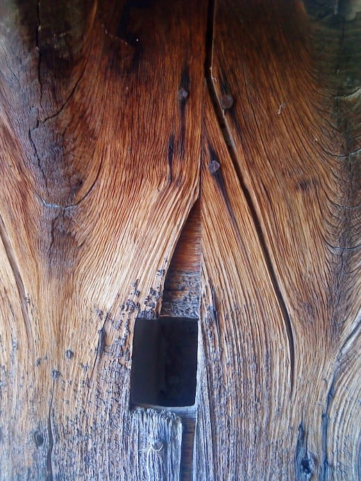 The beautiful chestnut door.