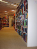 Library Media Specialist:  Library Collection Development