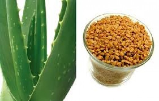 Aloe vera and Fenugreek both prevent hair loss during pregnancy Source: http://www.style-den.com