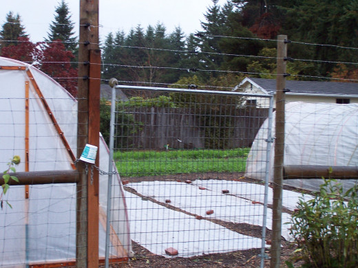 Another community garden in Olympia