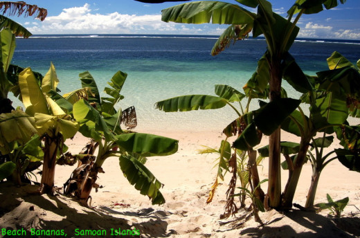 Relax!-The Banana Revolution is here.