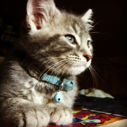 Never Suffer From “Just Because” Again