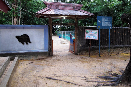The entrance to the egg laying and hatching beach at Pangumbahan.