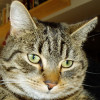 FactFromFiction profile image