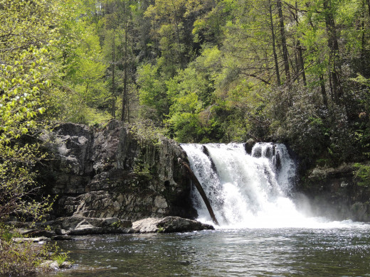 Abrams Falls in Great Smoky Mountain National Park