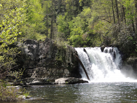 Abrams Falls