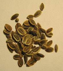 Dried seeds
