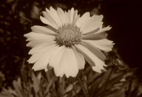 Attribution 3.0 Unported (CC BY 3.0