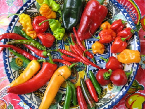 Fresh or dried,chillies are said to help the respiratory system and heart.
