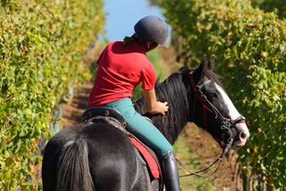 Tour Australian wineries on horseback