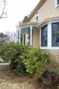 How To Prepare Shrubs for a Holding Bed