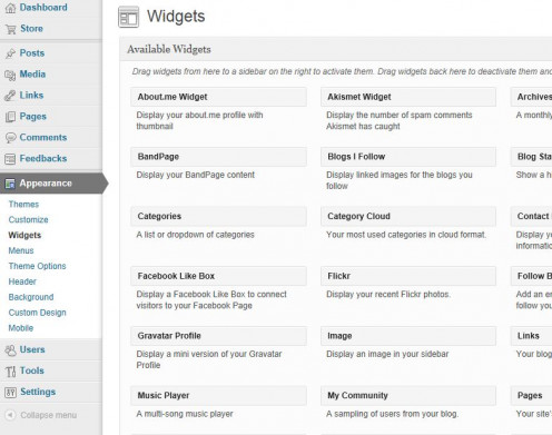 Sidebars (right or left column) are populated with the Widget Menu.