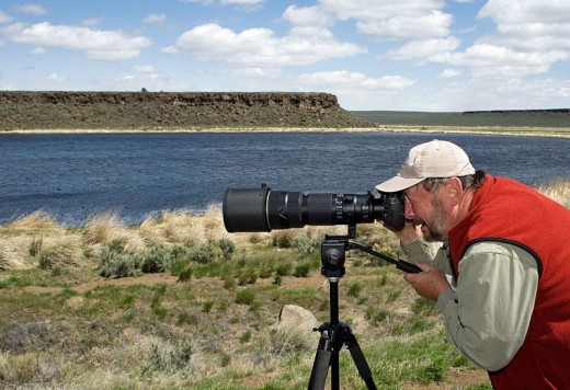 This work has been released into the public domain by its author, Gentry George, U.S. Fish and Wildlife Service
