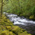 The river along the trail to Wahclella Falls The river along the trail to Wahclella Falls