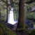 Wahclella Falls peering through the trees Wahclella Falls peering through the trees